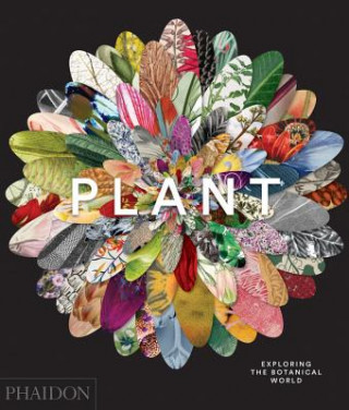 Kniha Plant, Exploring the Botanical World Phaidon Editors