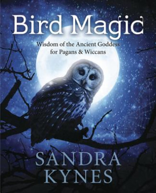 Książka Bird Magic Sandra Kynes