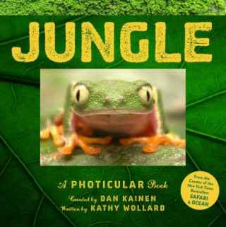 Kniha Jungle Dan Kainen