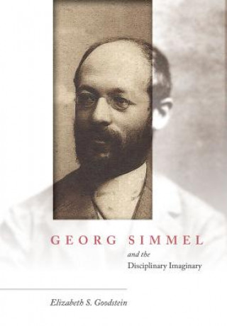 Carte Georg Simmel and the Disciplinary Imaginary ELIZABETH GOODSTEIN