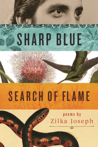 Könyv Sharp Blue Search of Flame Zilka Joseph