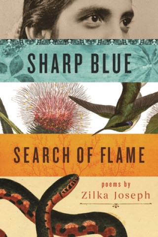 Książka Sharp Blue Search of Flame Zilka Joseph