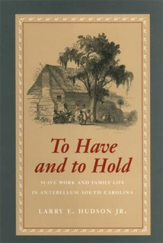 Libro To Have and to Hold LARRY E. HUDSON JR.