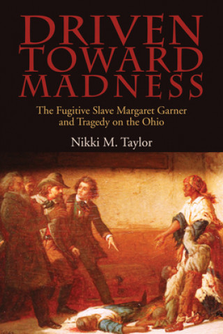 Kniha Driven toward Madness NIKKI M. TAYLOR