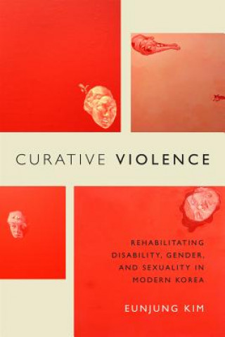 Книга Curative Violence Eunjung Kim