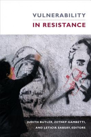 Kniha Vulnerability in Resistance 