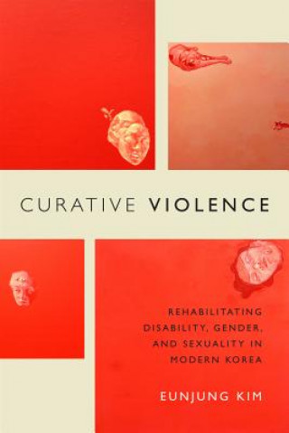 Kniha Curative Violence Eunjung Kim