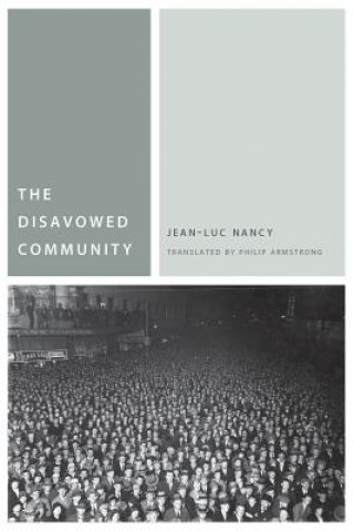 Könyv Disavowed Community Nancy