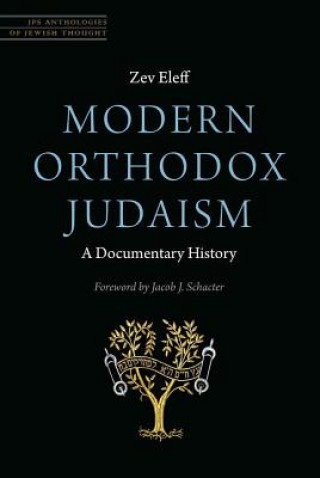Kniha Modern Orthodox Judaism: A Documentary History Zev Eleff