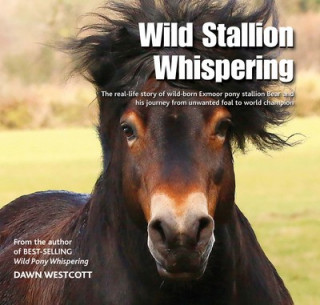 Книга Wild Stallion Whispering Dawn Westcott