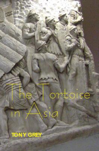 Книга Tortoise in Asia Tony Grey