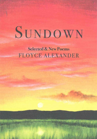 Libro Sundown Alexander Floyce