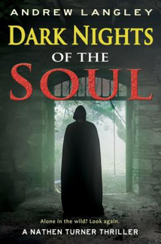 Könyv Dark Nights of the Soul: A Nathen Turner Thriller Andrew Langley
