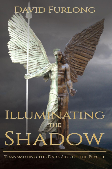 Knjiga ILLUMINATING THE SHADOW DAVID FURLONG