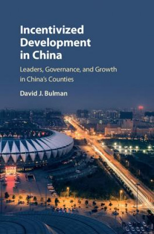 Kniha Incentivized Development in China David J. Bulman