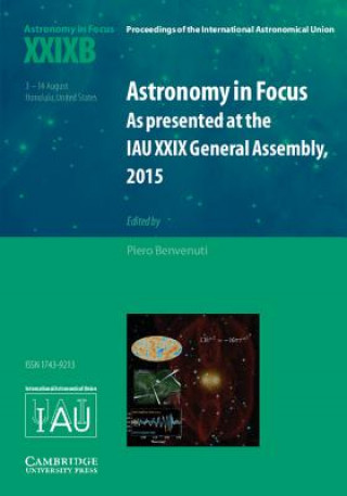 Kniha Astronomy in Focus XXIXB Piero Benvenuti