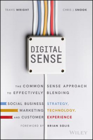 Livre Digital Sense - The Common Sense Approach to Effectively Blending Social Business Strategy, Markteting Technology, and Customer Experience Travis Wright