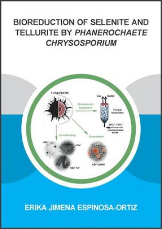 Carte Bioreduction of Selenite and Tellurite by Phanerochaete Chrysosporium Espinosa-Ortiz