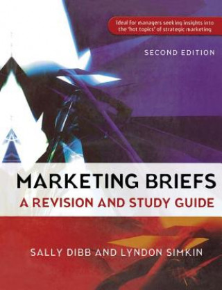 Kniha Marketing Briefs DIBB