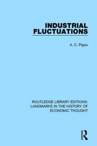 Kniha Industrial Fluctuations PIGOU