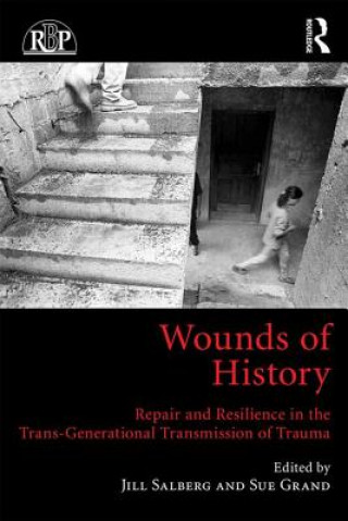 Kniha Wounds of History Jill Salberg