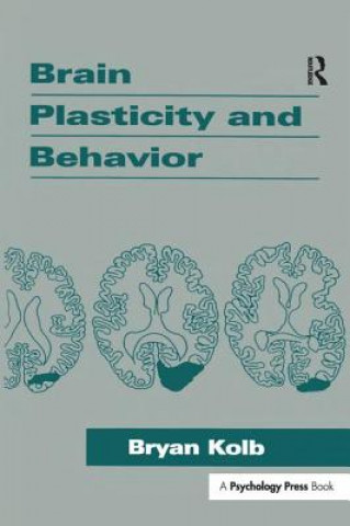 Carte Brain Plasticity and Behavior Bryan Kolb