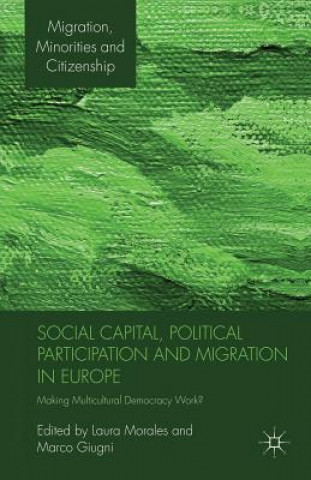 Kniha Social Capital, Political Participation and Migration in Europe M. Giugni