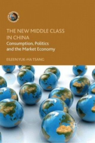 Könyv New Middle Class in China E. Tsang