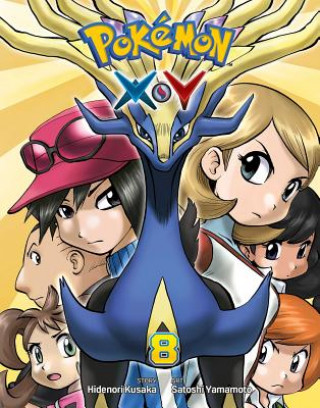 Kniha Pokemon X*Y, Vol. 8 HIDENORI KUSAKA