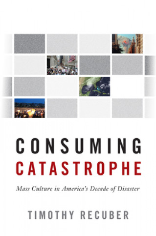 Buch Consuming Catastrophe Timothy Recuber