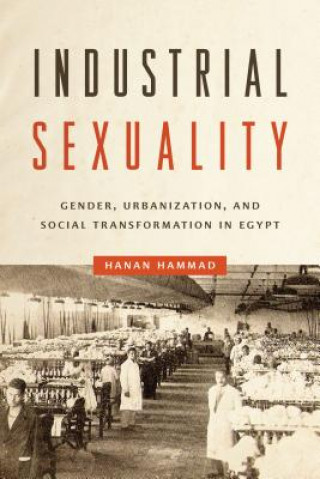 Knjiga Industrial Sexuality Hanan Hammad