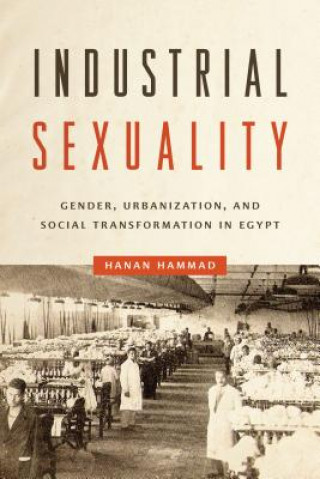 Книга Industrial Sexuality Hanan Hammad
