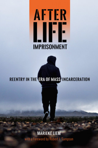 Kniha After Life Imprisonment Marieke Liem