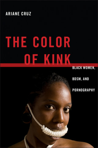 Knjiga Color of Kink Ariane Cruz
