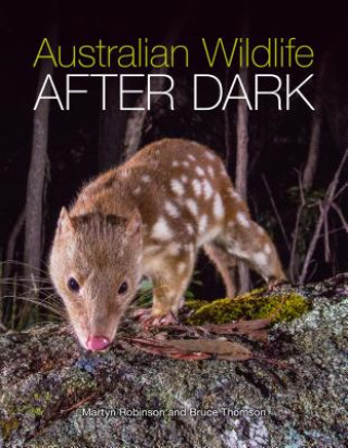 Kniha Australian Wildlife After Dark Bruce Thomson