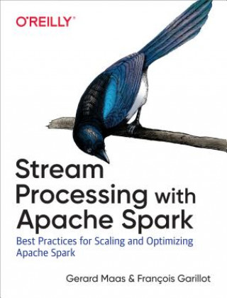 Könyv Stream Processing with Apache Spark Francois Garillot