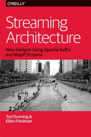 Könyv Streaming Architecture Ted Dunning