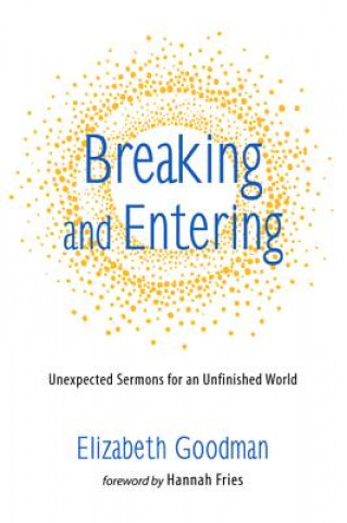 Buch Breaking and Entering ELIZABETH GOODMAN