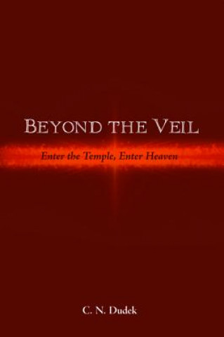 Buch Beyond the Veil C N Dudek