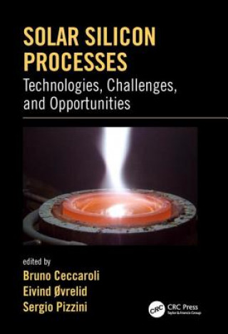 Knjiga Solar Silicon Processes Bruno Ceccaroli