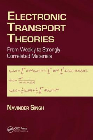 Kniha Electronic Transport Theories Navinder Singh