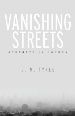 Książka Vanishing Streets J M Tyree