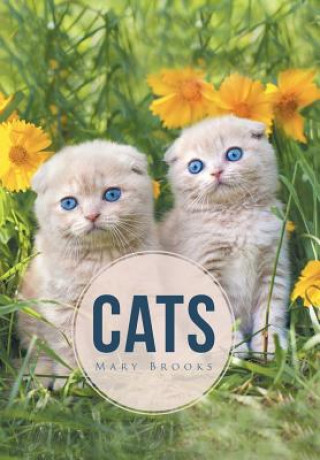 Carte Cats MARY BROOKS