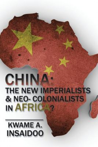 Kniha China Kwame a Insaidoo