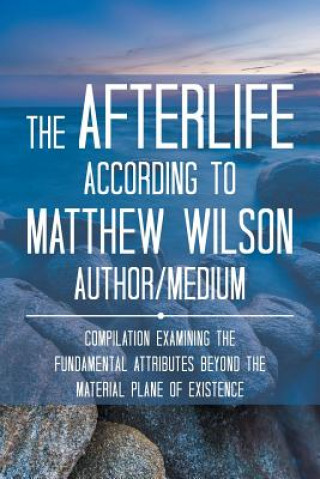 Kniha Afterlife According to Matthew Wilson Author/Medium Matthew (College of Architecture and Planning Ball State University Muncie Indiana USA) Wilson