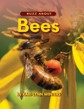 Buch Buzz About Bees***************** Winters