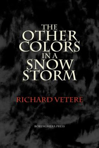 Книга Other Colors in a Snow Storm RICHARD VETERE