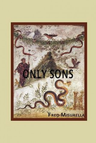 Kniha Only Sons FRED MISURELLA