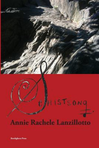 Book Schistsong ANNIE R LANZILLOTTO