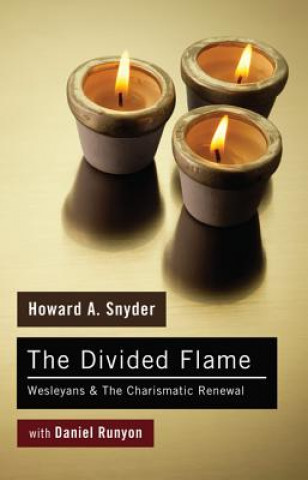 Книга Divided Flame HOWARD A. SNYDER